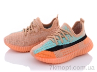 Купить Кроссовки  Кроссовки Blue Rama W915-2