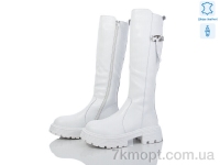 Купить Ботфорты Ботфорты Canoa 207-246