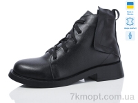 Купить Ботинки(весна-осень) Ботинки Carolina 2115-1