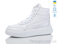 Купить Ботинки(зима) Ботинки Carolina 82097-2