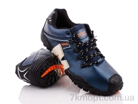 Купить Кроссовки Кроссовки Class Shoes A81 синий