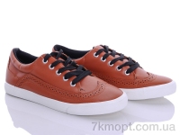 Купить Кроссовки  Кроссовки Class Shoes WB2