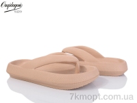 Купить Вьетнамки Вьетнамки Dageni 1619-3