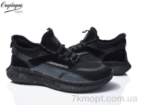 Купить Кроссовки Кроссовки Dageni A231-10