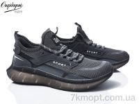 Купить Кроссовки Кроссовки Dageni A231-6