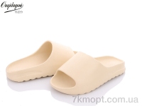 Купить Шлепки Шлепки Dageni C1505-5