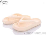 Купить Шлепки Шлепки Dageni C1619-8