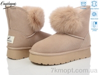 Купить Угги Угги Dageni HA1801-3