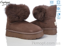 Купить Угги Угги Dageni HA1801-31