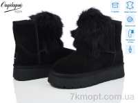 Купить Угги Угги Dageni HA5887-1B