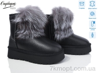 Купить Угги Угги Dageni HAL5887-1