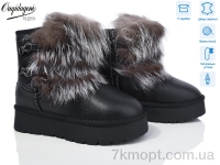 Купить Угги Угги Dageni HAL5889-1