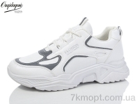 Купить Кроссовки Кроссовки Dageni MC8-2