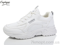 Купить Кроссовки Кроссовки Dageni MC8-2-2