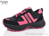 Купить Кроссовки Кроссовки Dageni MX807-8