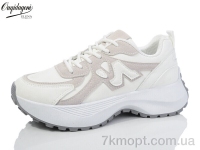 Купить Кроссовки Кроссовки Dageni MX819-2