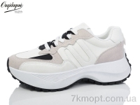 Купить Кроссовки Кроссовки Dageni MX825-2