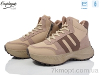 Купить Ботинки(зима) Ботинки Dageni X553-5