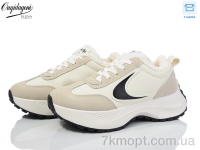 Купить Кроссовки Кроссовки Dageni X556-3