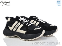 Купить Кроссовки Кроссовки Dageni X558-1