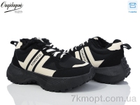 Купить Кроссовки Кроссовки Dageni X558-1B