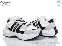 Купить Кроссовки Кроссовки Dageni X558-2