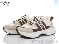 Купить Кроссовки Кроссовки Dageni X558-3