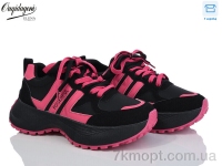 Купить Кроссовки Кроссовки Dageni X807-8