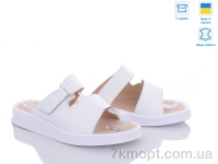 Купить Шлепки Шлепки Fat Fox-Tamei 2132-32