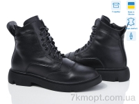 Купить Ботинки(зима) Ботинки Fat Fox-Tamei C199-12