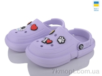 Купить Кроксы Кроксы Golden Lion 313 лаванда