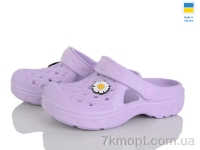 Купить Кроксы Кроксы Golden Lion 327 фіолетовий