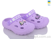 Купить Кроксы Кроксы Golden Lion 333 лаванда
