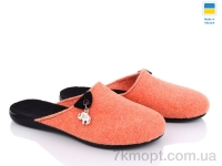 Купить Тапки Тапки Inblue 184