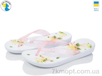 Купить Шлепки Шлепки Jose Amorales 136-1