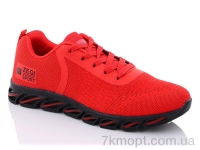 Купить Кроссовки Кроссовки Kajila A03-3