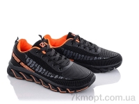 Купить Кроссовки  Кроссовки Kajila CB893-5