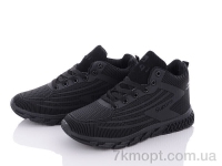 Купить Ботинки(зима) Ботинки Kajila CMB892-1