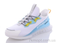 Купить Кроссовки Кроссовки KMB Bry ant F1378-125