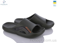 Купить Шлепки Шлепки Acorus 131 зелений