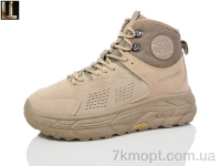 Купить Кроссовки Кроссовки Lilin G653-7