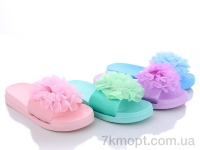 Купить Шлепки Шлепки Lion 579-6 mix