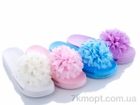 Купить Шлепки Шлепки Lion 579-7 mix