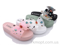 Купить Шлепки Шлепки Lion FY048 mix