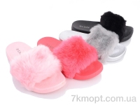 Купить Шлепки Шлепки Lion FY85A mix