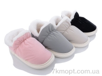 Купить Тапки Тапки Lion XRY-45 mix