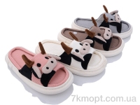 Купить Тапки Тапки Lion XRY57 mix