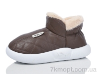 Купить Тапки Тапки Luck Line M2929-2