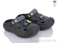 Купить Кроксы Кроксы Golden Lion 333 чорний