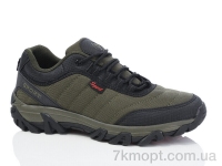 Купить Кроссовки Кроссовки Ok Shoes A613-6